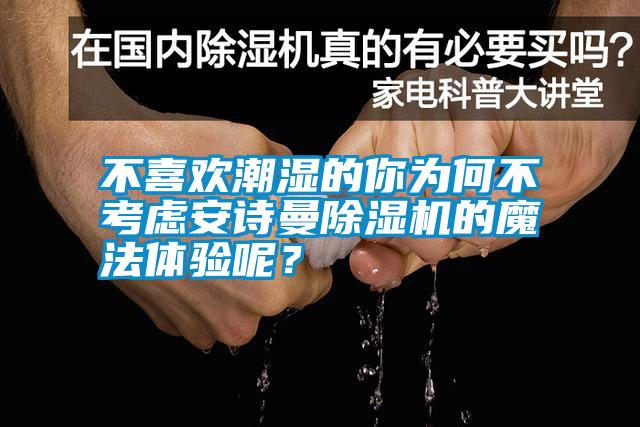 不喜歡潮濕的你為何不考慮安詩曼除濕機的魔法體驗呢？