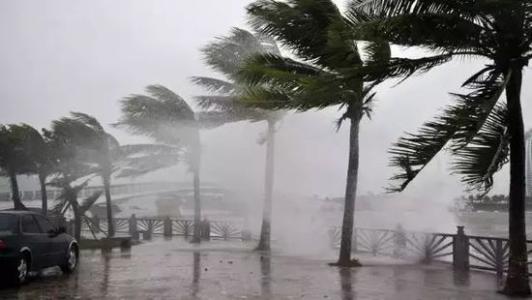 8月臺風雨即將來，除濕機還得用起來