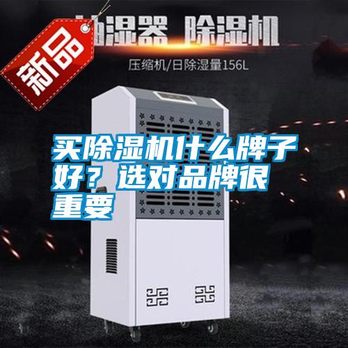 買除濕機什么牌子好？選對品牌很重要