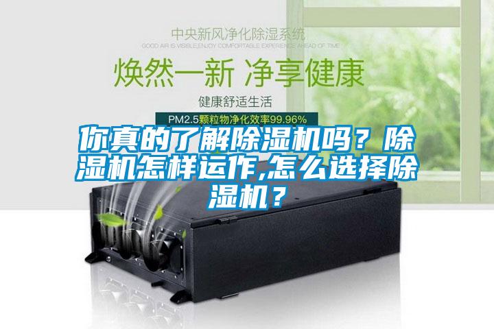 你真的了解除濕機嗎？除濕機怎樣運作,怎么選擇除濕機？