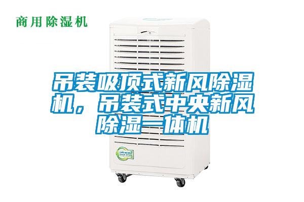 吊裝吸頂式新風除濕機，吊裝式中央新風除濕一體機