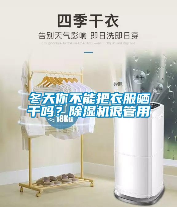 冬天你不能把衣服曬干嗎？除濕機很管用