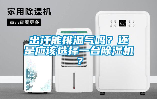 出汗能排濕氣嗎？還是應該選擇一臺除濕機？