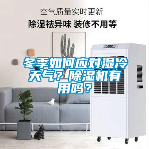 冬季如何應對濕冷天氣？除濕機有用嗎？