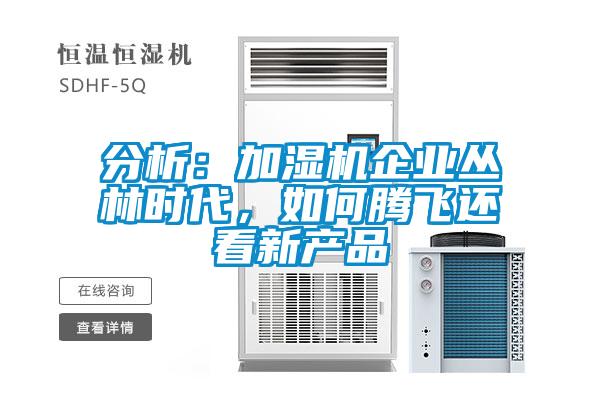 分析：加濕機企業叢林時代，如何騰飛還看新產品