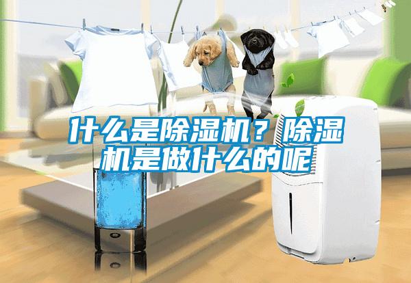 什么是除濕機？除濕機是做什么的呢