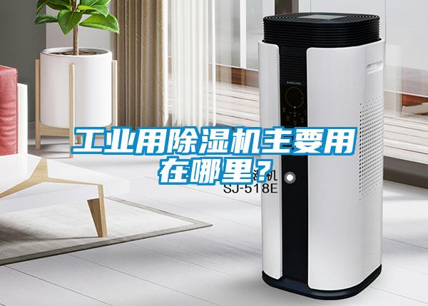 工業用除濕機主要用在哪里？