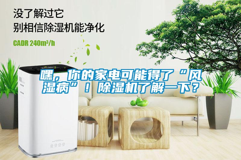 嘿，你的家電可能得了“風濕病”！除濕機了解一下？