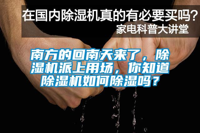 南方的回南天來了，除濕機派上用場，你知道除濕機如何除濕嗎？