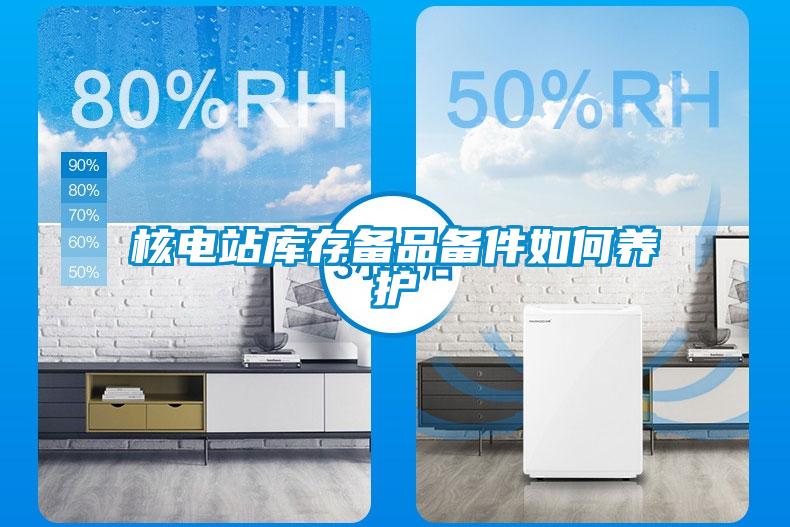 核電站庫存備品備件如何養護