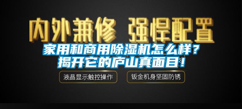 家用和商用除濕機怎么樣？揭開它的廬山真面目！