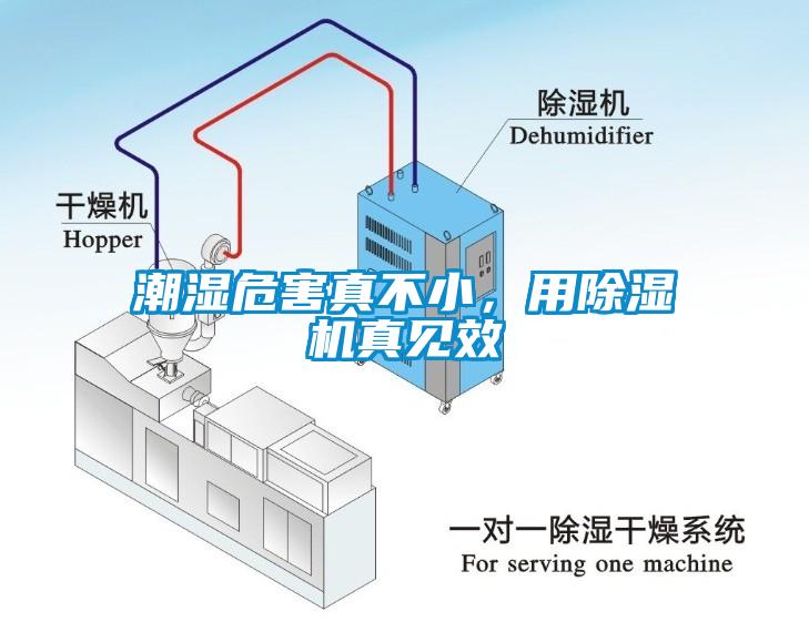 潮濕危害真不小，用除濕機真見效