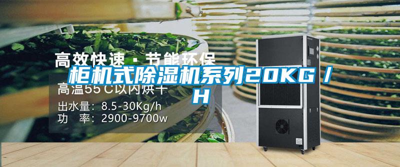 柜機式除濕機系列20KG／H