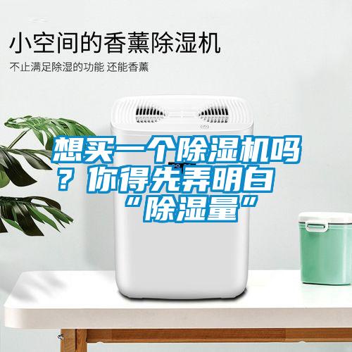 想買一個除濕機嗎？你得先弄明白“除濕量”