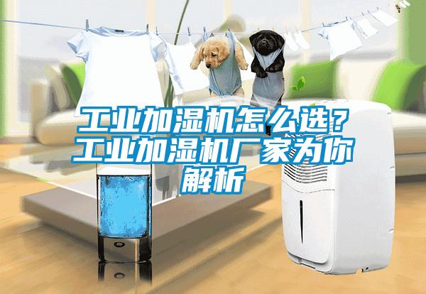 工業加濕機怎么選？工業加濕機廠家為你解析