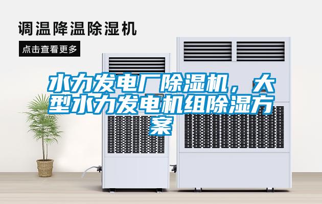 水力發電廠除濕機，大型水力發電機組除濕方案