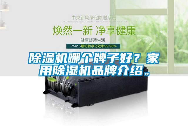 除濕機哪個牌子好？家用除濕機品牌介紹。