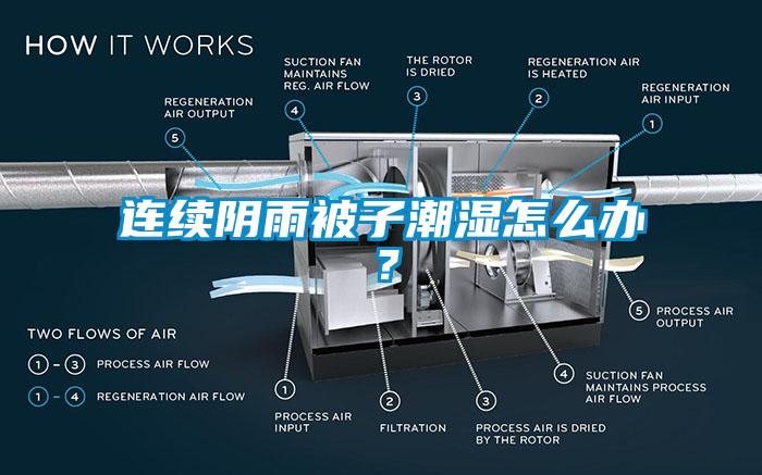 連續陰雨被子潮濕怎么辦？