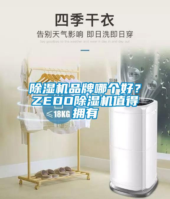 除濕機品牌哪個好？ZEDO除濕機值得擁有