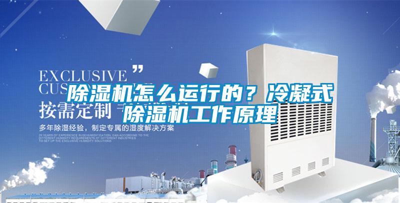 除濕機怎么運行的？冷凝式除濕機工作原理