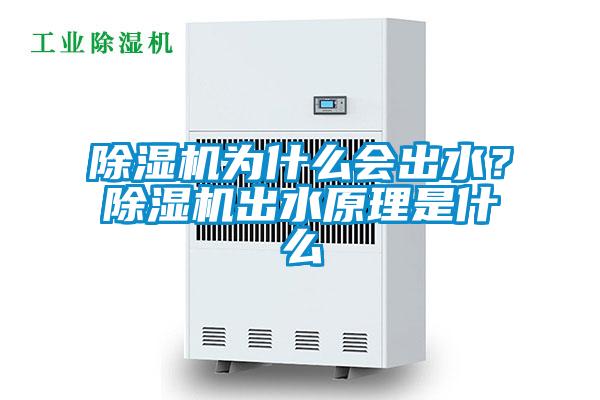 除濕機為什么會出水？除濕機出水原理是什么