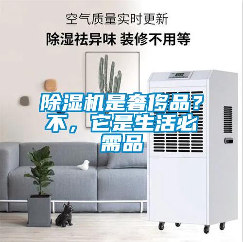 除濕機是奢侈品？不，它是生活必需品