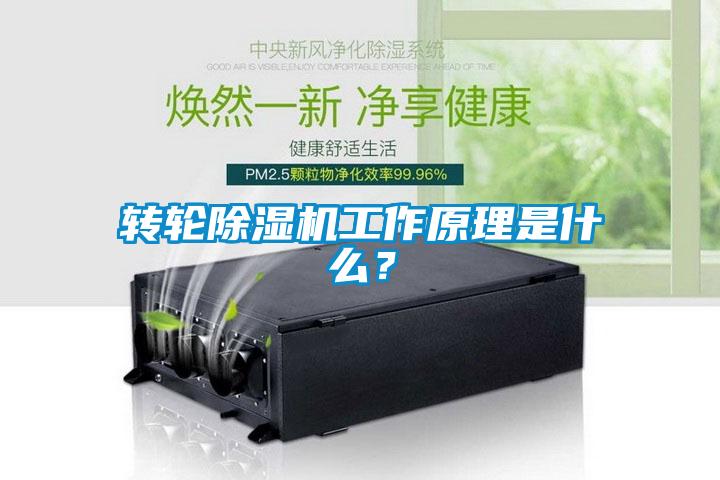 轉輪除濕機工作原理是什么？