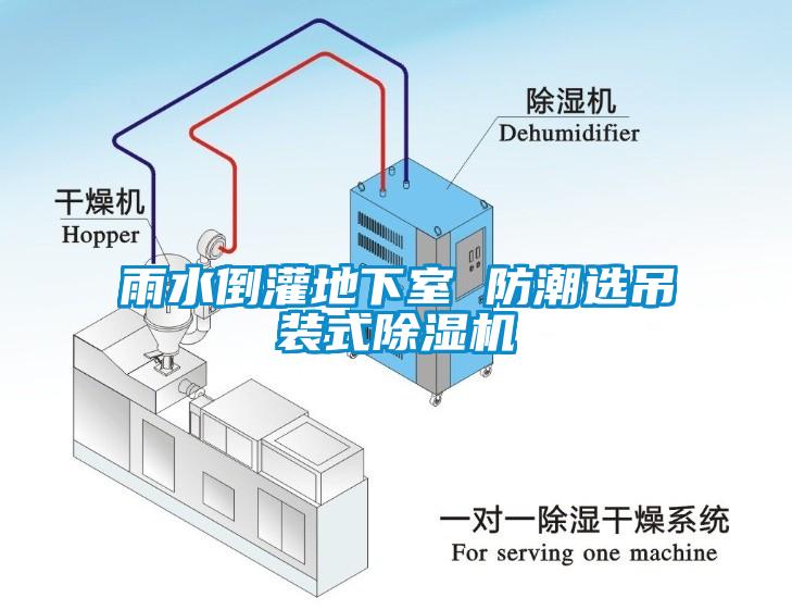 雨水倒灌地下室 防潮選吊裝式除濕機