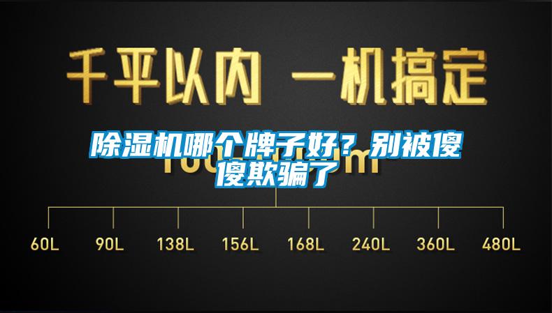 除濕機哪個牌子好？別被傻傻欺騙了