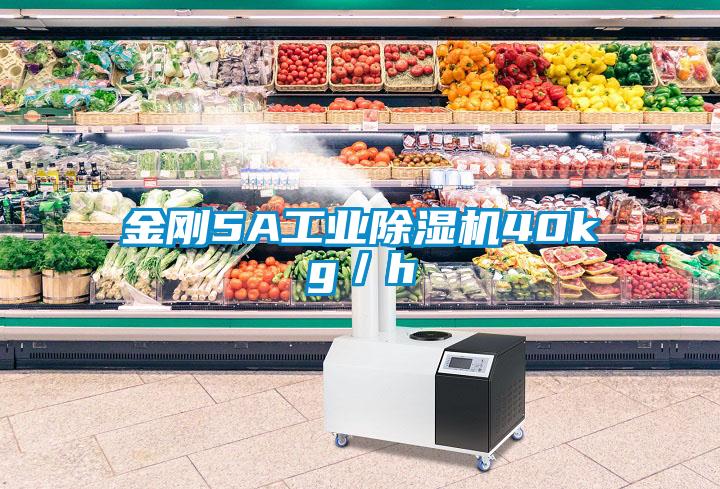 金剛5A工業除濕機40kg／h