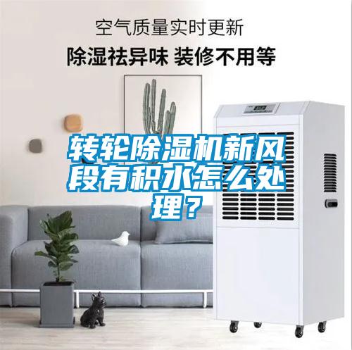 轉輪除濕機新風段有積水怎么處理？