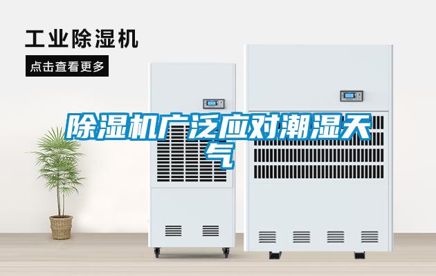 除濕機廣泛應對潮濕天氣