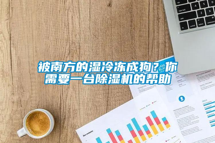 被南方的濕冷凍成狗？你需要一臺除濕機的幫助