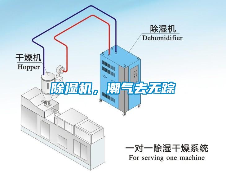 除濕機，潮氣去無蹤