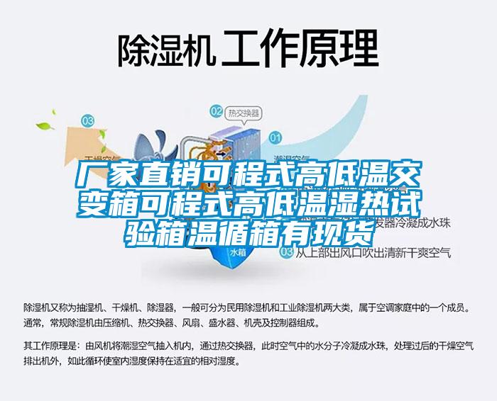 廠家直銷可程式高低溫交變箱可程式高低溫濕熱試驗箱溫循箱有現貨