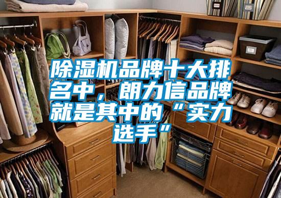 除濕機品牌十大排名中，朗力信品牌就是其中的“實力選手”