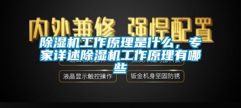 除濕機工作原理是什么，專家詳述除濕機工作原理有哪些