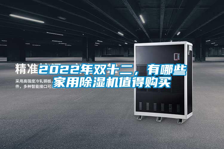 2022年雙十二，有哪些家用除濕機值得購買