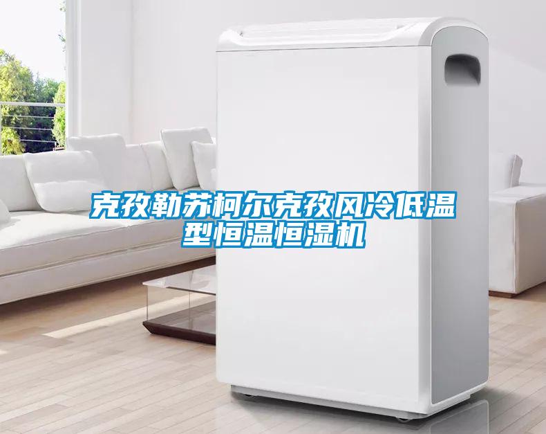 克孜勒蘇柯爾克孜風冷低溫型恒溫恒濕機