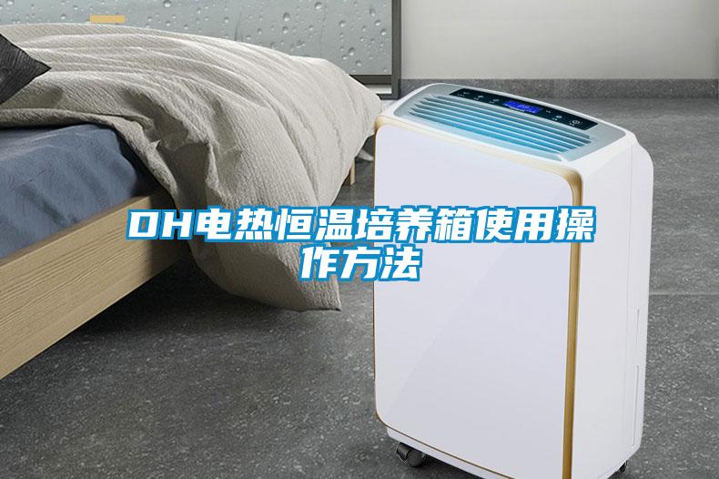 DH電熱恒溫培養箱使用操作方法