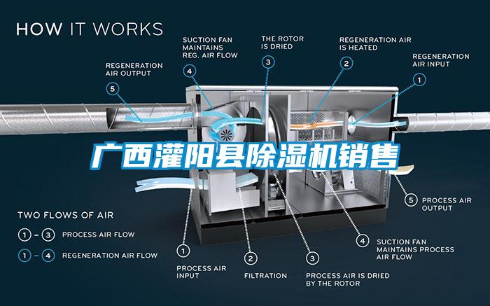 廣西灌陽縣除濕機銷售