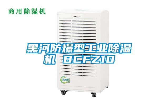 黑河防爆型工業除濕機 BCFZ10