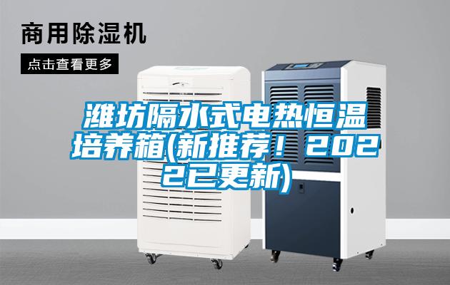 濰坊隔水式電熱恒溫培養箱(新推薦！2022已更新)