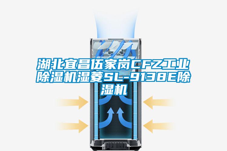 湖北宜昌伍家崗CFZ工業除濕機濕菱SL-9138E除濕機