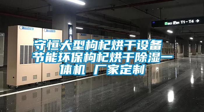 守恒大型枸杞烘干設備 節能環保枸杞烘干除濕一體機 廠家定制