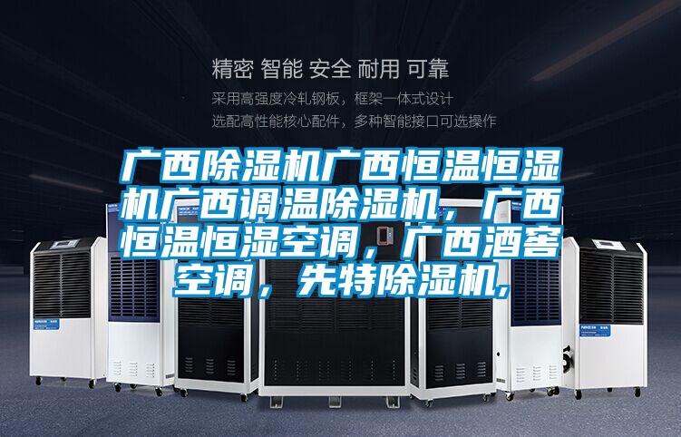 廣西除濕機廣西恒溫恒濕機廣西調溫除濕機，廣西恒溫恒濕空調，廣西酒窖空調，先特除濕機,