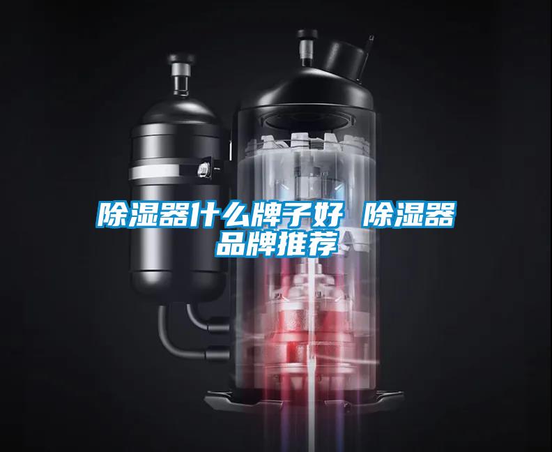 除濕器什么牌子好 除濕器品牌推薦