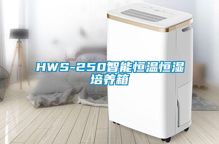 HWS-250智能恒溫恒濕培養箱