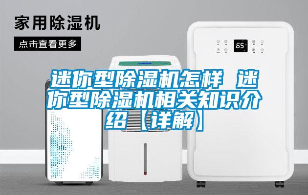 迷你型除濕機怎樣 迷你型除濕機相關知識介紹【詳解】