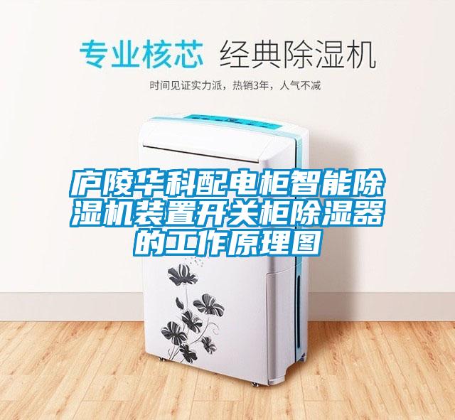 廬陵華科配電柜智能除濕機裝置開關柜除濕器的工作原理圖